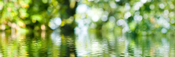 istock Vibrant reflections in tranquil water surrounded by lush greenery in a serene natural setting 2194951829
