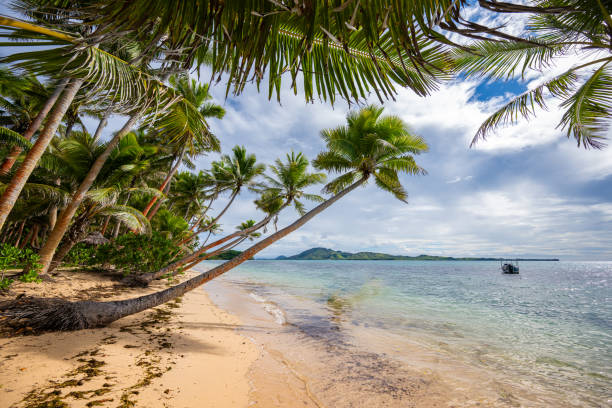 istock Tropical Paradise Island 2194953905