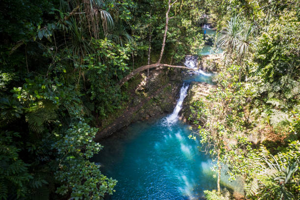 istock Colo-I-Suva Forest Park Reserve in Fiji 2194958596