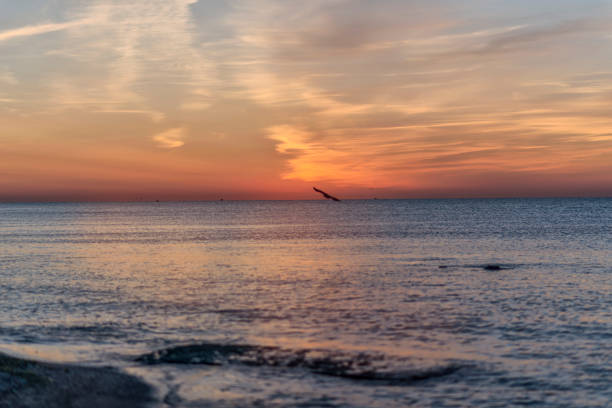 A sunset over a body of water. High quality photo