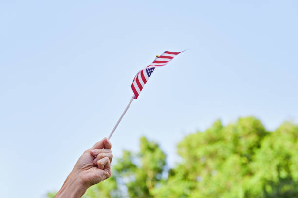 Hand proudly holding small American flag, waving it against clear blue sky with green trees in background, symbolizing patriotism