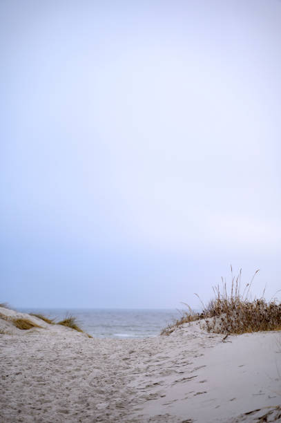 A beach with sand and a sea. Lomma, Sweden, 2025. High quality photo