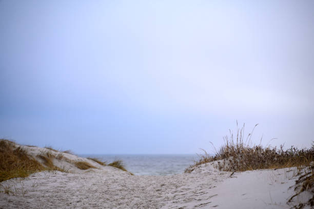 A beach with sand and a sea. Lomma, Sweden, 2025. High quality photo