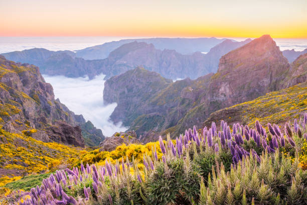 istock View from Pico do Arieiro, Portugal 2194985118