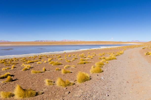 istock Desert landscape with clear blue sky 2194988732