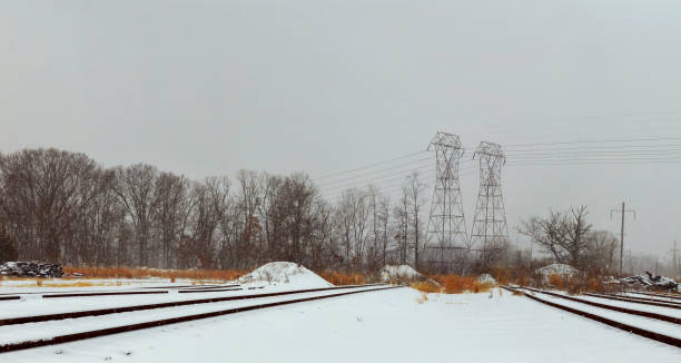 Railway tracks lie under blanket of snow, surrounded by trees standing power lines on chilly winter day.