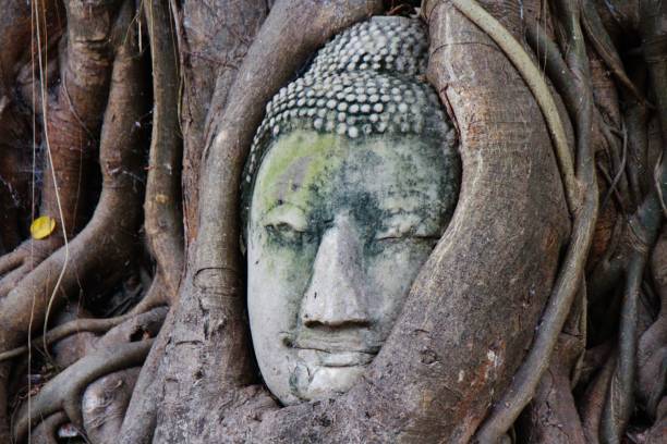 istock Wat Mahathat in Ayutthaya 2194991755