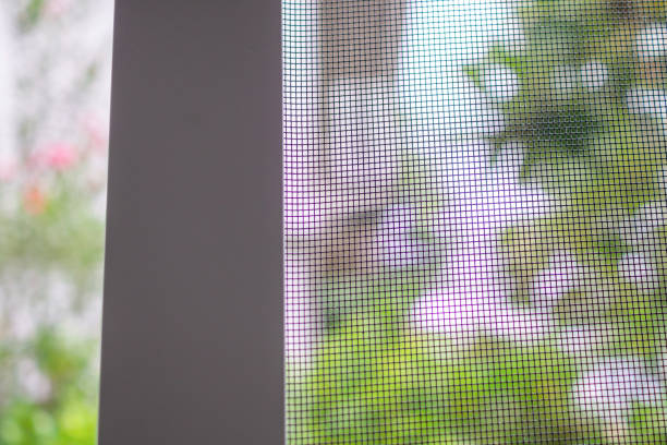 istock mosquito net wire screen on house window protection against insect 2194992669