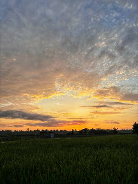 istock beautiful morning sky with clouds 2194999822