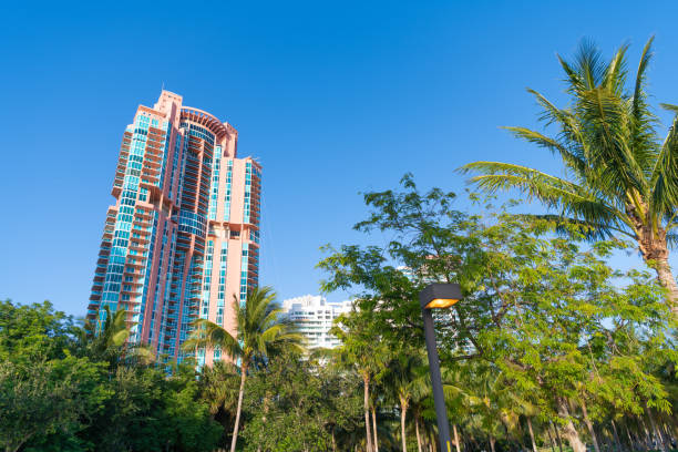 istock skyscraper architecture outdoor with palms. skyscraper architecture in miami. 2194999916