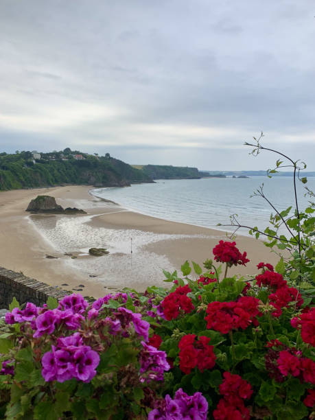 istock Coastal Serenity with Blooming Colors 2195003046