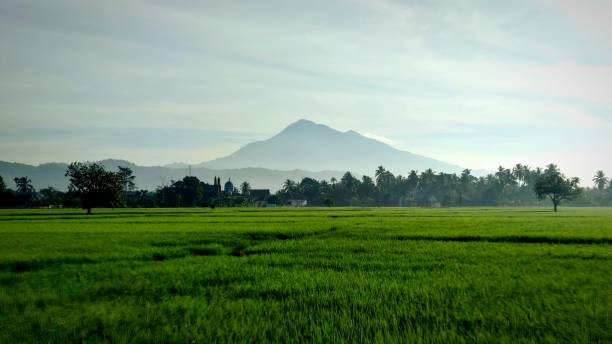 istock views of Mount Seulawah, rice fields and Aceh Besar district roads 2195004030