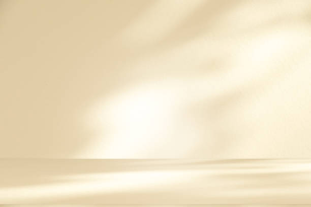 istock Studio style background wall decoration presentation uses white and beige tones. with shadows cast from a nearby window, concept creating a decorative 2195005850