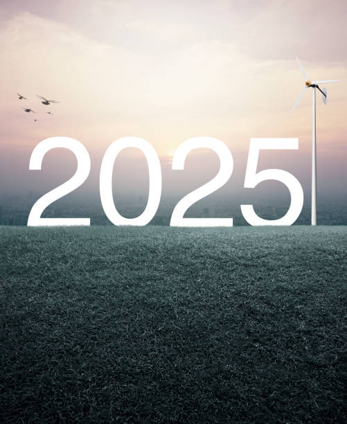 istock Happy new year 2025 ecology saving power and energy concept 2195018080