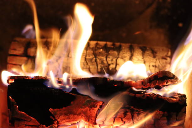 istock Close up of flames on logs in a fireplace 2195021197