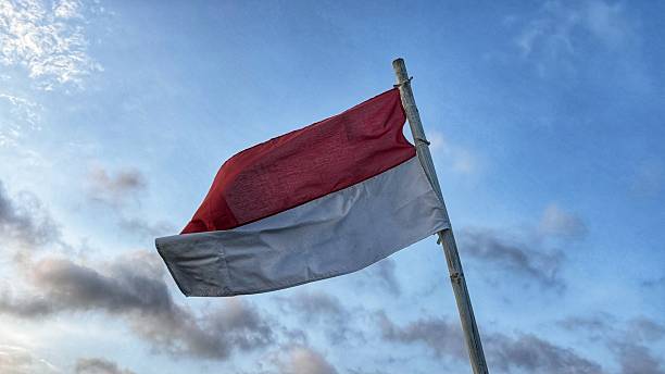 istock The flag is flying under the blue sky 2195021731