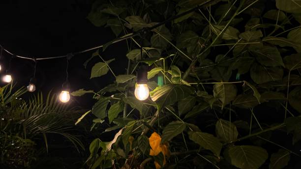 istock a row of light bulbs used as decoration 2195021925