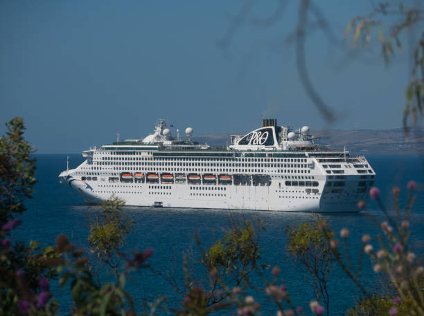 Kangaroo Island, Australia – December 12, 2024: P And O Pacific Explorer cruise ship framed by vegetation in Penneshaw with view of mainland.