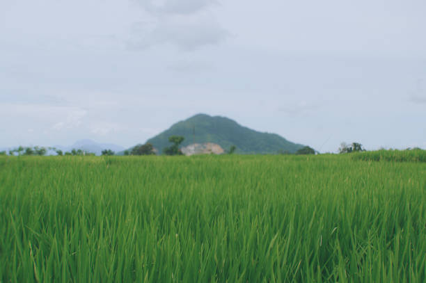 Discover hidden gems in rural Indonesia