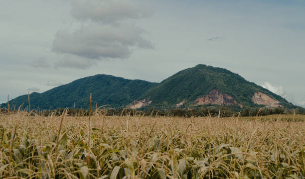 Discover hidden gems in rural Indonesia