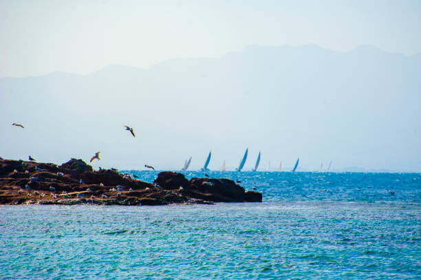 Sailing behind of the rock and seagulls