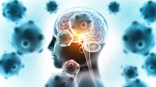 istock Human brain anatomy on virus background 2195032150