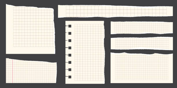istock Paper scraps. Torn pieces of paper, with torn edges for notes, realistic torn pieces of blank note pages. Vector illustration isolated. 2195034285