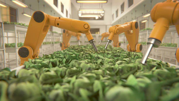 istock Farming robot manipulator. Smart robotic, manipulators robot technology. Farmers concept, robot farmers, Agriculture technology, Farm automation 2195036146