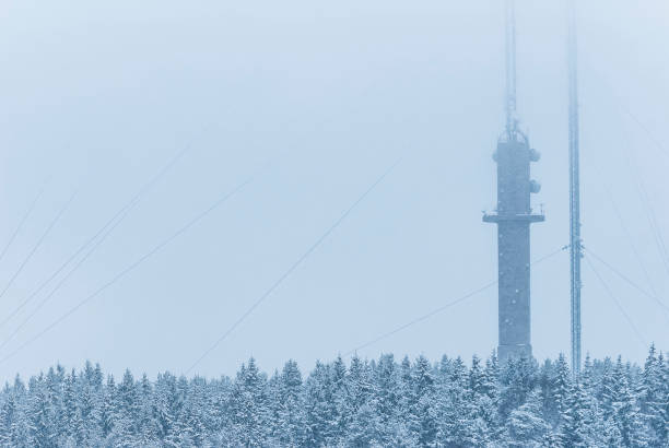 A communication tower rises above a thick layer of snow that blankets the forest below, showcasing a stark but serene winter landscape outside Gothenburg, capturing the essence of the season.