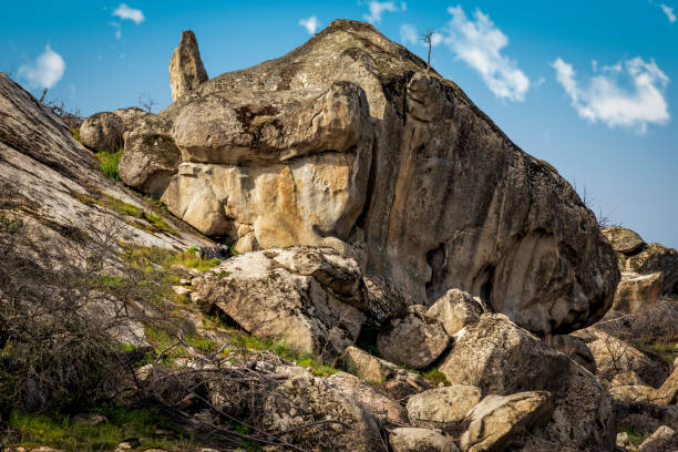 istock Granite rocks, grass, moss and lichens on Muniana Cliff. 2195039215