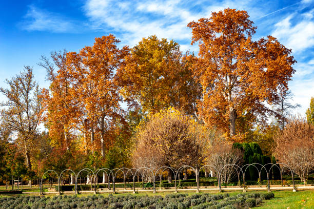 Otoño en los Jardoines del Príncipe. Aranjuez. Madrid.