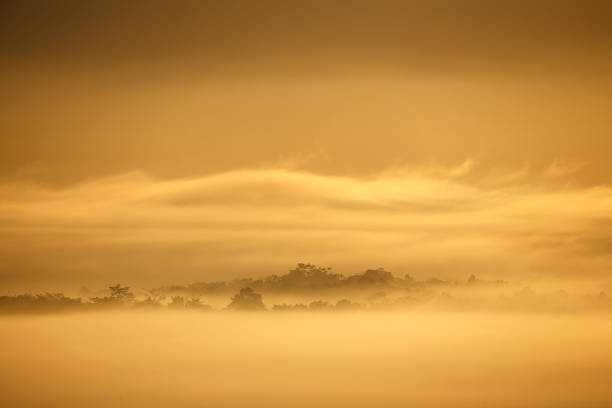 Golden Hour Fog, A mystical landscape is painted in the warm, golden hues of sunrise or sunset.  Layers of fog obscure the land, creating a sense of serenity and mystery.