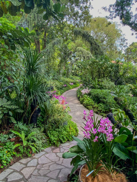 istock Winding Path Way In Lush Tropical Garden 2195041485