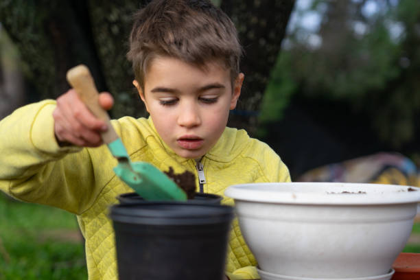 istock Boy repotting plants using trowel and potting soil in garden 2195041986