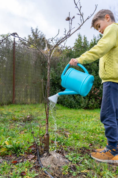 istock Child watering young tree with blue watering can in garden 2195042032