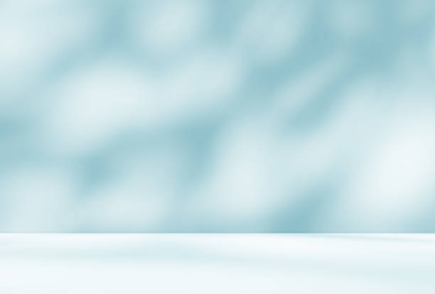 istock Empty blue room studio with shadow of leaves on concrete wall and floor for product presentation. 2195042096