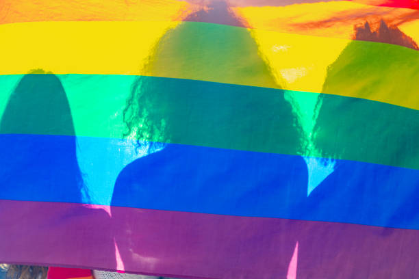 istock People holding rainbow flag celebrating gay pride 2195046299