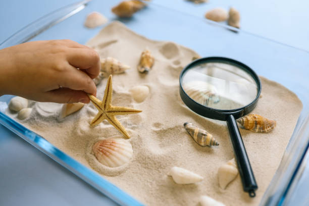 istock Child exploring seashells and a starfish in a glass dish filled with sand using a magnifying glass on a light blue background. Fun and educational sensory activity 2195050209
