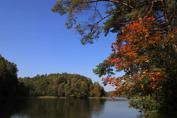 Beautiful autumn landscape in the park near Green Lakes (Balsys), Lithuania.