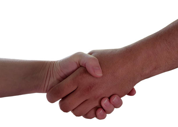 Firm handshake between two hands on a white background. Close-up photography. Partnership, agreement, and trust concept