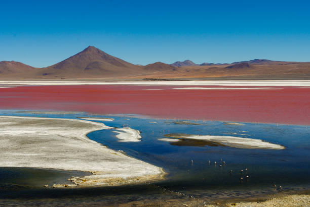 istock Desert Lake in Bolivia 2195055836