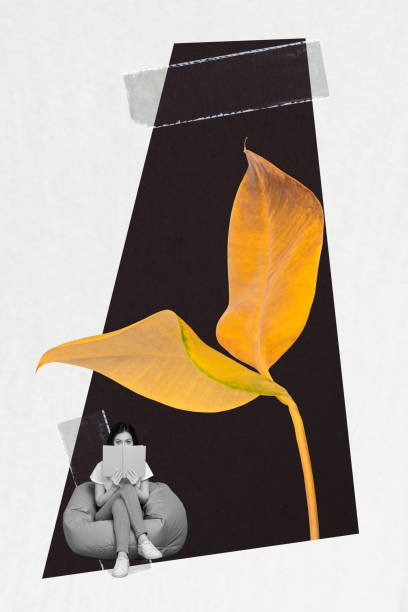 istock Creative vertical collage picture sitting young woman pouf hide face book reader peek look leaf plant drawing background 2195060664