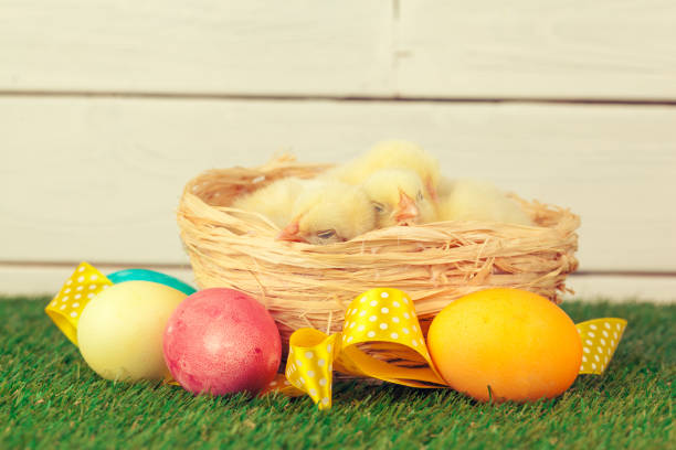 Easter eggs and chickens on green grass