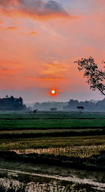 istock Sunset in Jaffna, Sri Lanka 2195067232