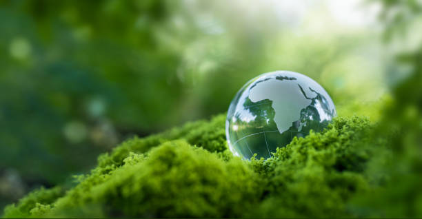istock Environmental concept - Crystal globe on green moss in forest to protect nature. Eco-friendly esg conservation care for the earth for sustainability keep the earth clean and ecology. Earth Day 2195067833