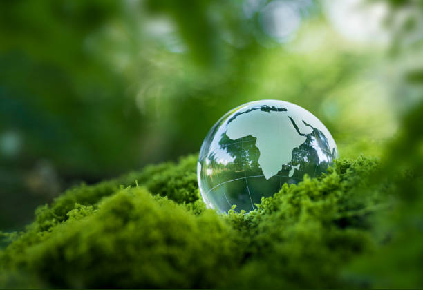 istock Environmental concept - Crystal globe on green moss in forest to protect nature. Eco-friendly esg conservation care for the earth for sustainability keep the earth clean and ecology. Earth Day 2195067870