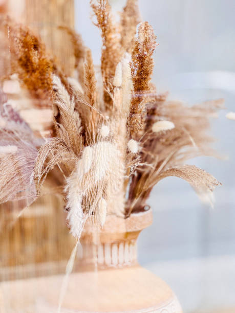 istock Dried Floral Arrangement in Vase 2195068991