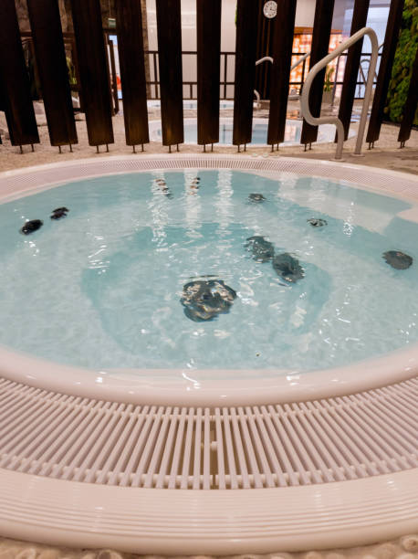 istock hot tub for therapeutic massage and relaxation 2195070280