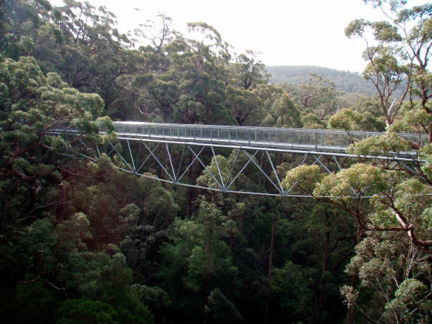 istock bridge construction in traffic and transport 2195075424