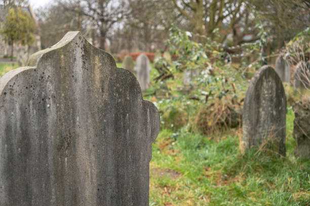 istock A weathered gravestone entwined with ivy 2195076014